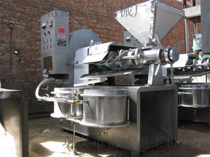 全自動榨油機 從原料到黃金綠色食用油的科技之旅